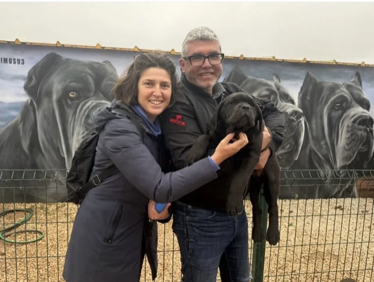 Cane Corso compartiendo tiempo con su familia
