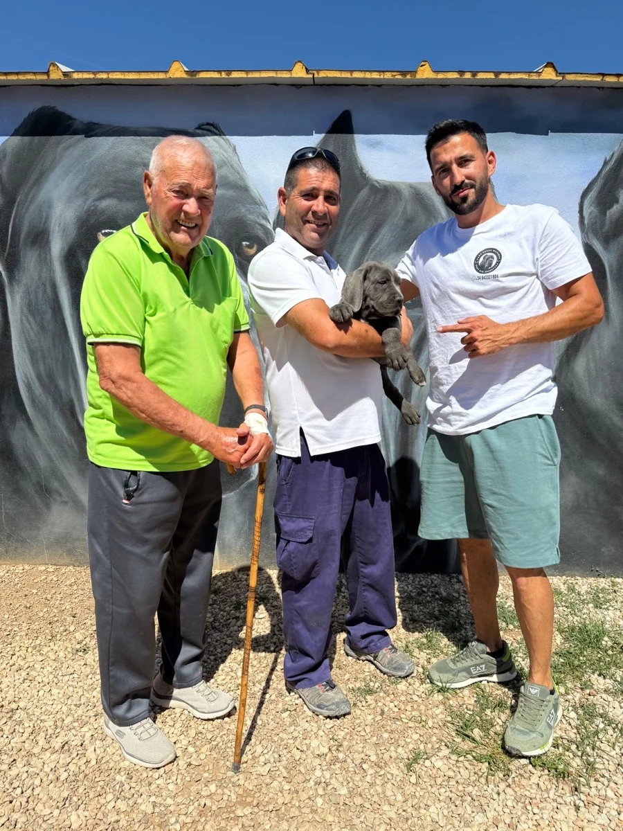 Familia recibiendo a su cachorro Cane Corso