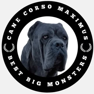 Logo del criadero Canecorsomaximus93